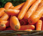 Carrots